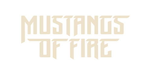 Mustangs Of Fire